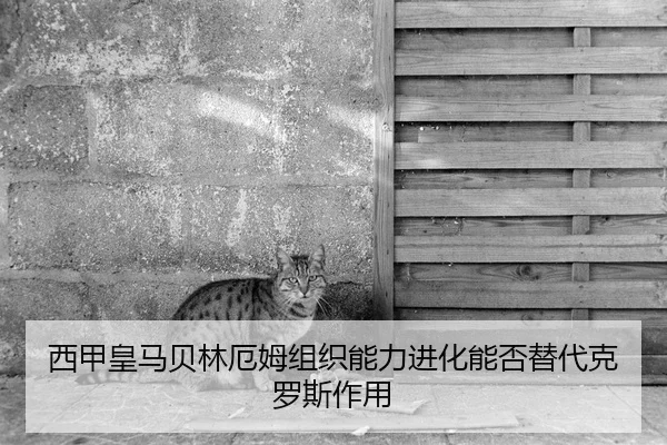 xi-jia-huang-ma-bei-lin-e-mu-zu-zhi-neng-li-jin-hua-neng-fou-ti-dai-ke-luo-si-zuo-yong-2-766.jpg
