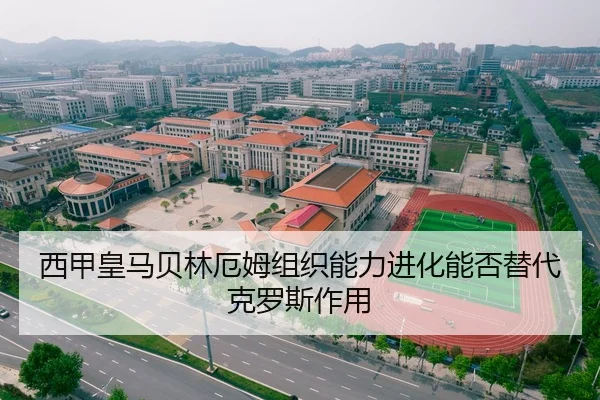 西甲皇马贝林厄姆组织能力进化能否替代克罗斯作用