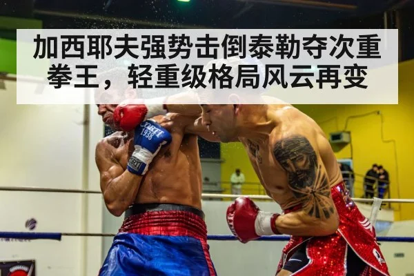 加西耶夫强势击倒泰勒夺次重拳王，轻重级格局风云再变