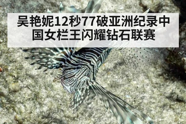 吴艳妮12秒77破亚洲纪录中国女栏王闪耀钻石联赛