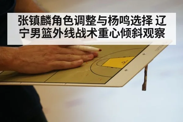 张镇麟角色调整与杨鸣选择 辽宁男篮外线战术重心倾斜观察